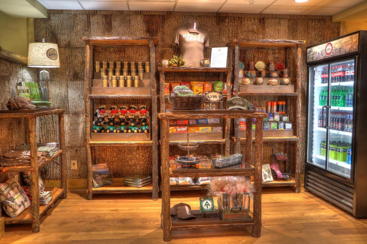 The Appy Lodge Gatlinburg Buitenkant foto